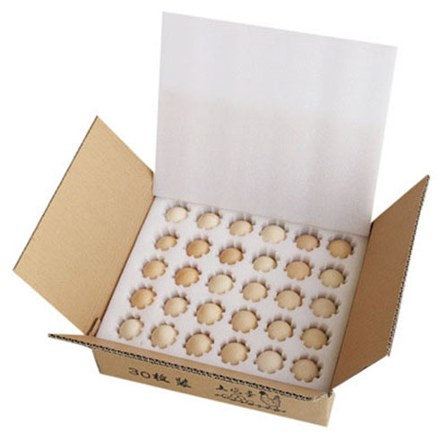 Bookshape Packaging Box with EPE Insert